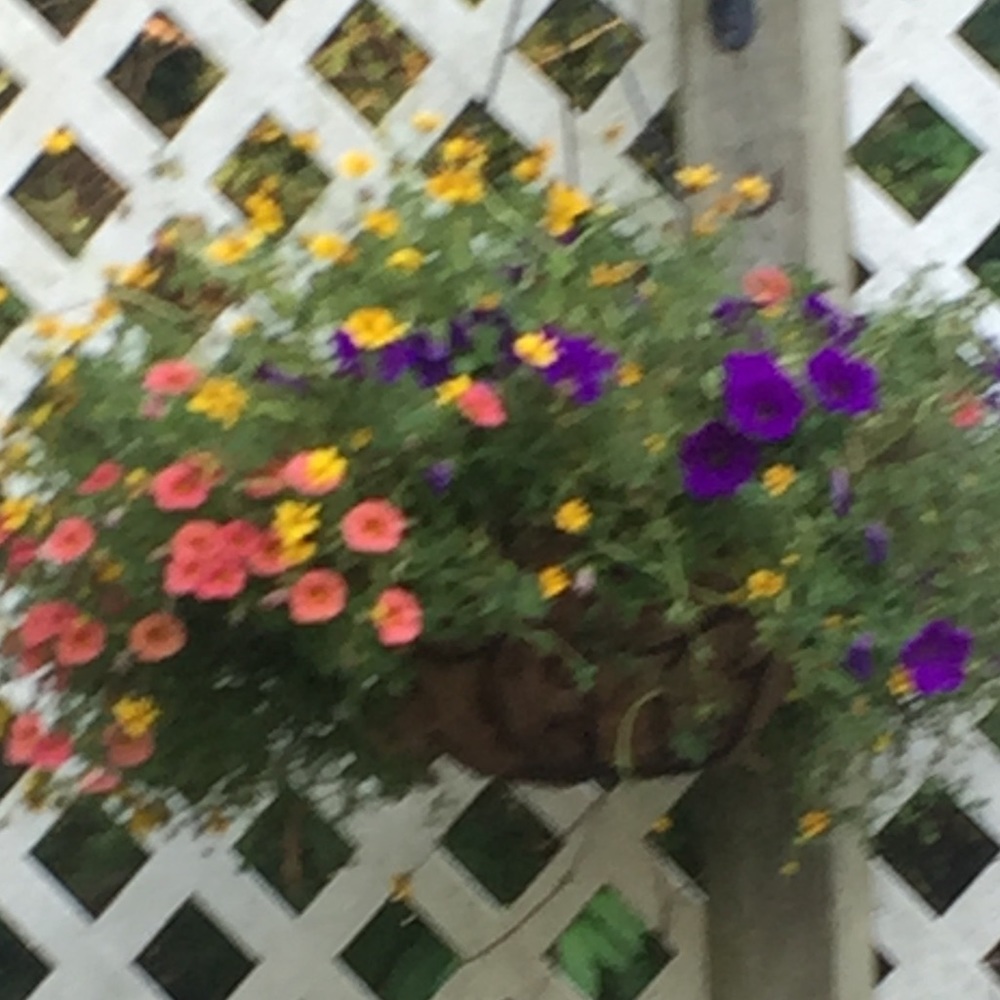 Meet your Posher, Karen